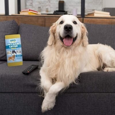 Gonzo Pet Hair Lifter Sponge