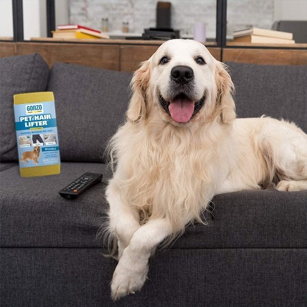 img-725913._AC_SL600_V1_ Gonzo Pet Hair Lifter Sponge