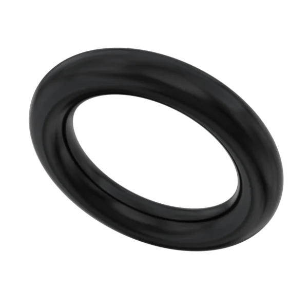 49. Lindhaus Activa O-Ring - 012480307
