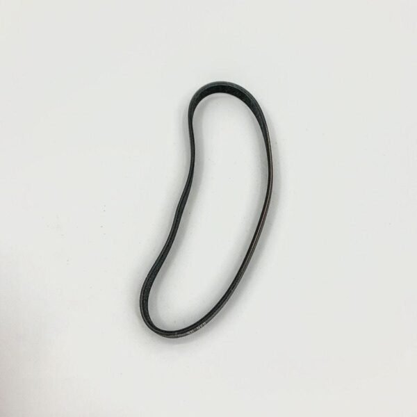 08. Lifetime Belt (ZM-700) B014-1200